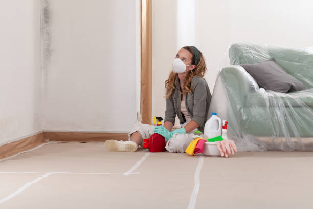 Reliable Mold Inspection contractor in East Lansing, MI by WQB Mold Removal